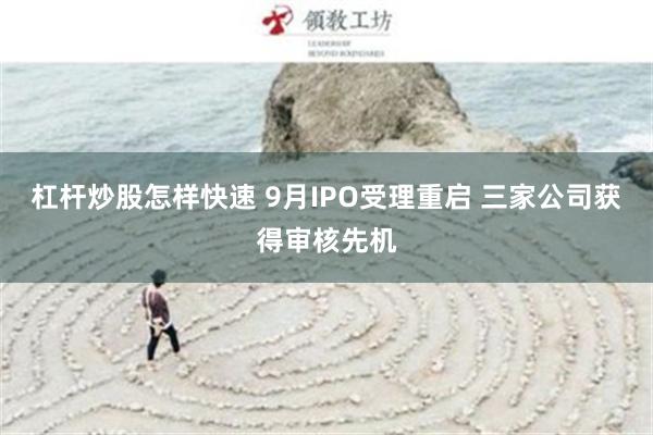 杠杆炒股怎样快速 9月IPO受理重启 三家公司获得审核先机