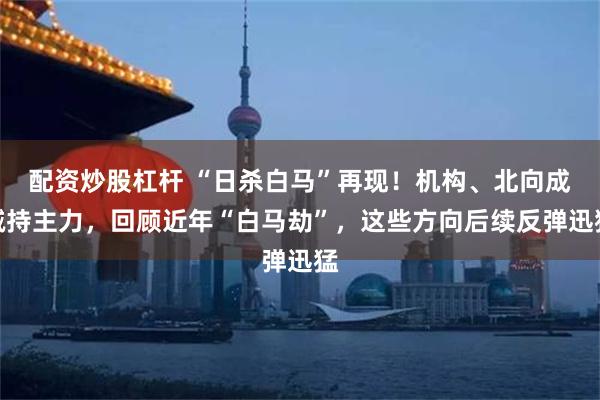 配资炒股杠杆 “日杀白马”再现！机构、北向成减持主力，回顾近年“白马劫”，这些方向后续反弹迅猛